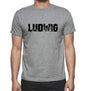 Ludwig Grey Mens Short Sleeve Round Neck T-Shirt 00018 - Grey / S - Casual